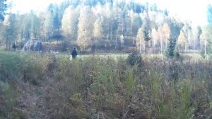 11.09.2022. ПУТЕШЕСТВИЕ НА КОЙСКОЕ БЕЛОГОРЬЕ. ДЕНЬ 1-ЫЙ. #РИСКОПРАВДАН