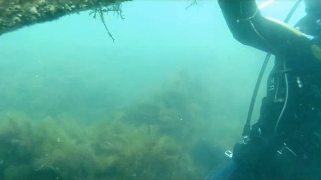 Абхазия - Дайвинг - Https___diving-abkhazia.ru_.mp4