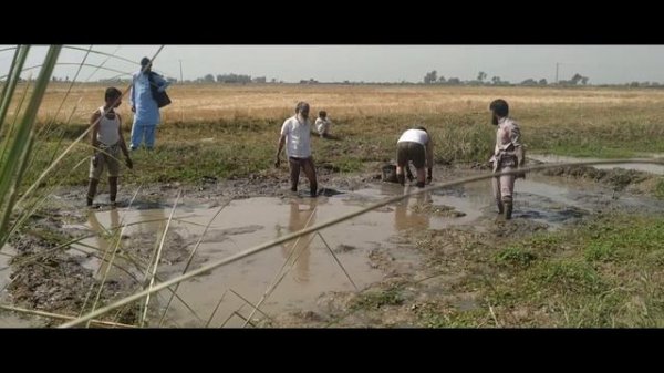 Unique Mud Fishing Video Find & Catch Fish and Catfish Form Mud in Small Pond | Saim Abeera Muridke