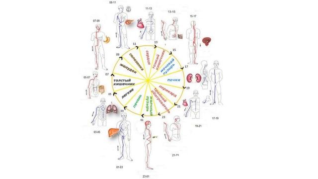 Что есть ЦИГУН Даосизм. Дань Тянь. Инь-Ян. Лао Цзы. Недеяние. Упражнения Укрепление здоровья.Дыхани смотреть онлайн