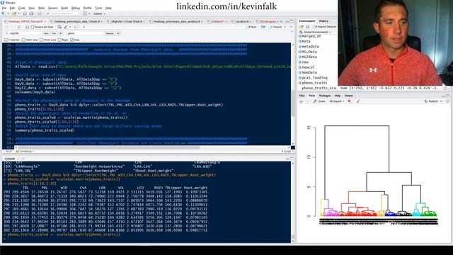 Heatmap with Dendrogram in R Tutorial смотреть онлайн