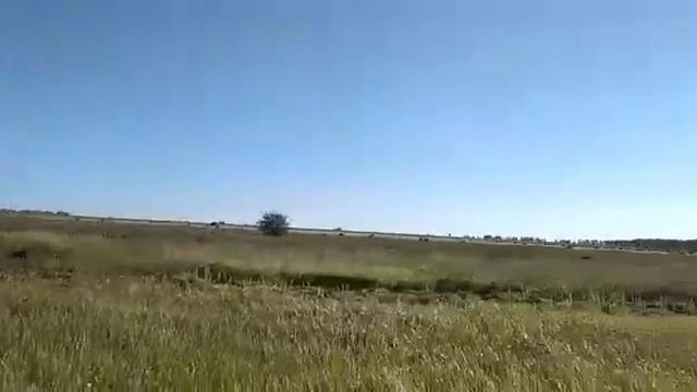 Сенокос у Берх А.К. с. Николаевка смотреть онлайн