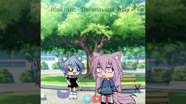 Хахаха #meow_cat666 #люблю_вас