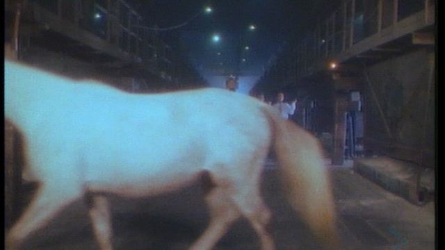 Captain Hollywood Project - Only With You смотреть онлайн