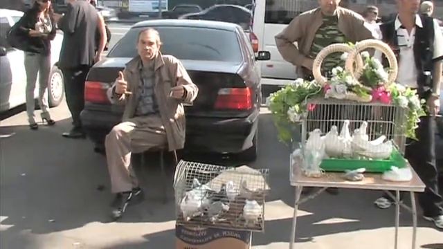 Алкаш продает голубей у ЗАГСа смотреть онлайн