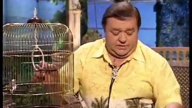 В мире животных жердочки смотреть онлайн