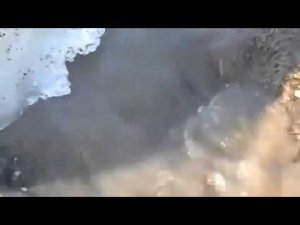 Журчашка исцеляет почки, радует сердце!