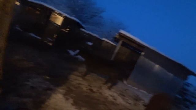 ✅Деревенские будни // Быка за рога // Переводим по сараям смотреть онлайн