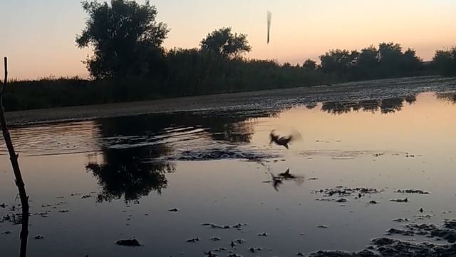Рыбалка удочкой на червя(Карась) / Ловля рыбы на вентирь(Плотва) смотреть онлайн
