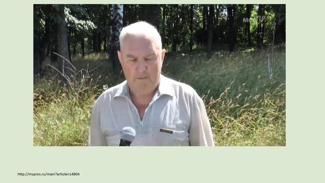 Березовая роща по ул 1 я Нагорная г Шуя Ивановская обл смотреть онлайн