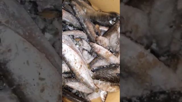 Кулинарная мастерская 