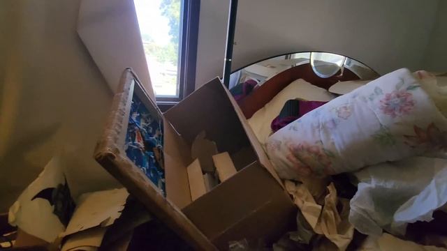 Таких Домов мы ещё не Видели!Это был УЖАС!Распродажа Чикаго! смотреть онлайн