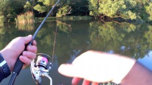 Ловля на лайтовый спиннинг. Тест приманок M5 Craft + розыгрыш