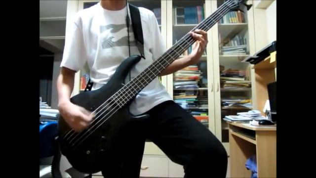 Antipatria - Pateando Tu Kara (Bass Cover) смотреть онлайн