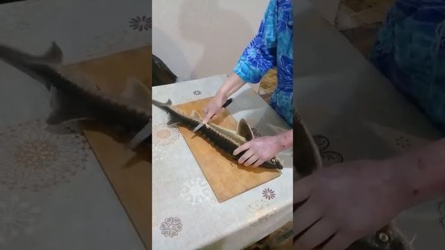 Чистим рыбу смотреть онлайн