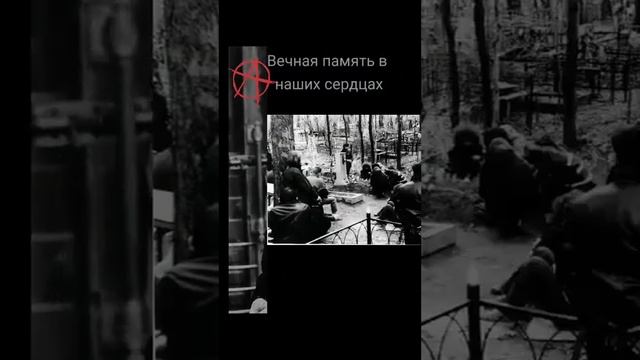 янка дягилева помним? смотреть онлайн