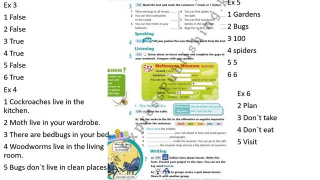 Ағылшын тілі 5 сынып. Excel Student`s book p 14,15 Workbook p 8, 9 жауаптарымен смотреть онлайн