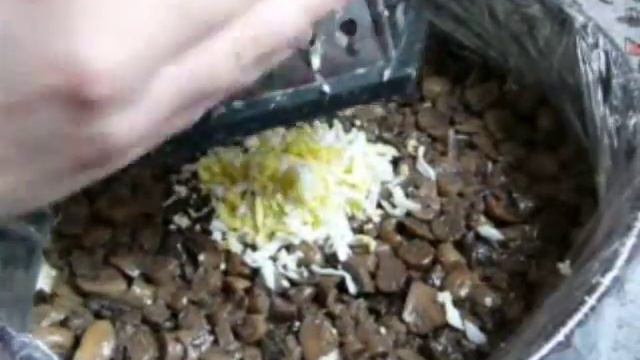 Слоеный салат с грибами на праздничный стол. Салаты рецепты.Salad смотреть онлайн