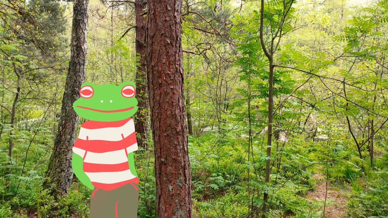 Брачная песня лягушек. Озеро заполнено голосами любви смотреть онлайн