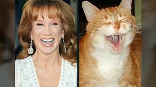 Удивительное сходство животных и их хозяев смотреть онлайн