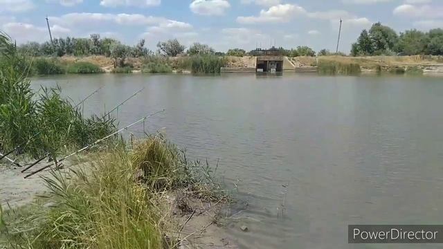 КАРАСИ АТАКУЮТ ;))) РЫБАЛКА В УСТЬ-КОЙСУГЕ, НА РЕКЕ МАЛЫЙ КОЙСУГ ;))).... с кошкой! смотреть онлайн