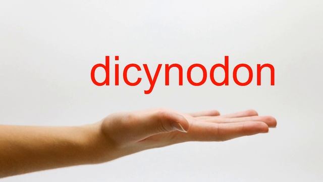 How to Pronounce dicynodon - American English смотреть онлайн