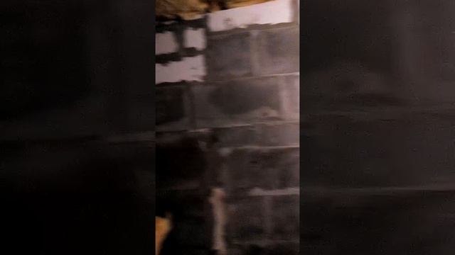 2 ноября 2016 г. смотреть онлайн