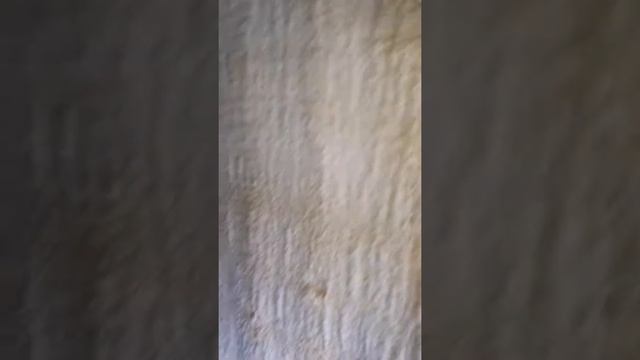 Пена Полинор второй слой. г.Кокшетау, ул.Уалиханова 48. смотреть онлайн