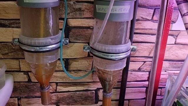 15 июля 2021 г.