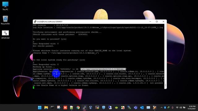 Patching for Oracle DB 19c. смотреть онлайн