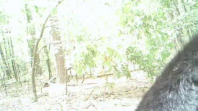 Biggus Dickus смотреть онлайн