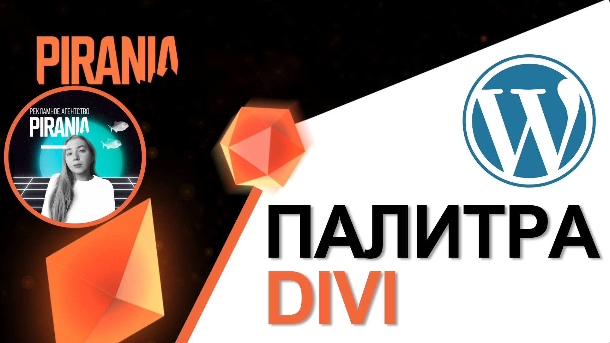 Как задать свою палитру выбора цвета в Divi смотреть онлайн