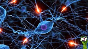 ЗОМБИ-АПОКАЛИПСИС ВОЗМОЖЕН, 3 ПРИЧИНЫ. Зомби Чез