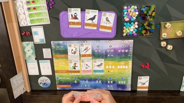 Soloing Wingspan European Expansion - The Mill смотреть онлайн