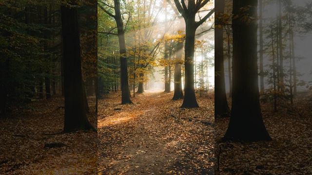 [Solved] DJ Tiësto - Radio 538 Dance Department (13-11-1999) [Version 2] Track 11 смотреть онлайн