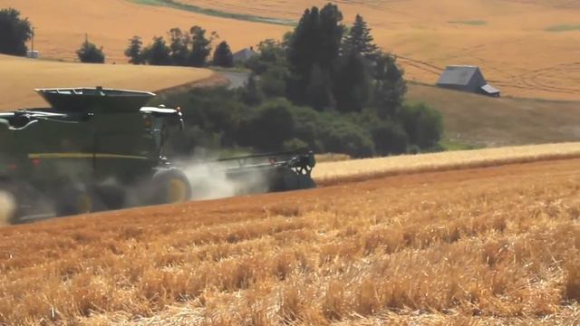 Otter Taiwan Wheat Welcome смотреть онлайн