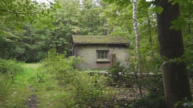 Убьем их сейчас сказала женщина, нет , убьем их во сне сказал мужчина...страшная история. смотреть онлайн