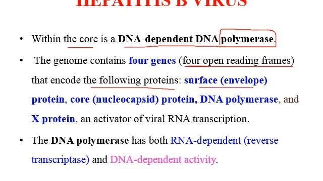 Chapter 8 Viral Hepatitis I смотреть онлайн