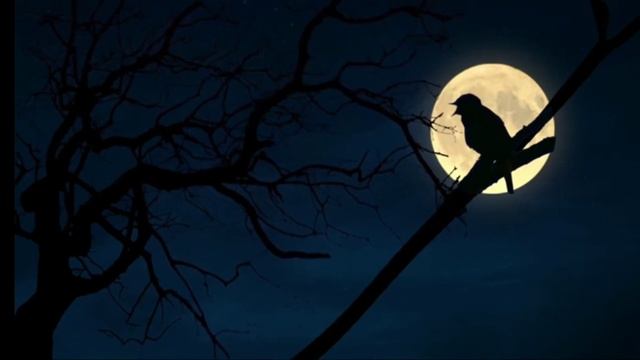 Кто напишет песню?. Проснись, любовь моя#стихи Сергея Досаева смотреть онлайн