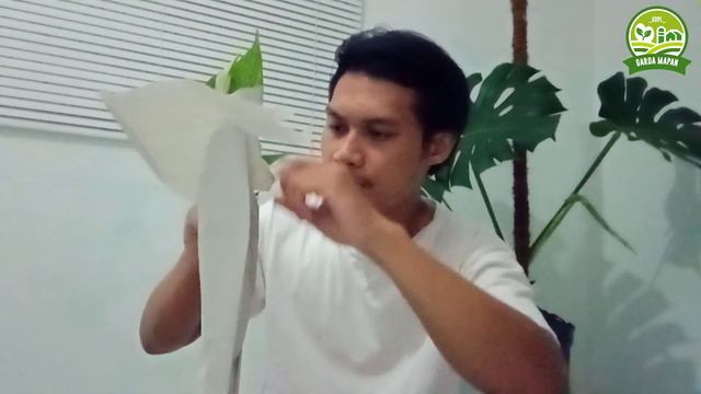UNBOXING TANAMAN | Monstera | Philodendron Gloriosum | Epipremnum Pinnatum Variegata смотреть онлайн
