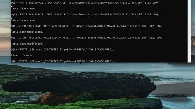 CONFIGURACIONES DE ADMINISTRADOR ORACLE 18C смотреть онлайн