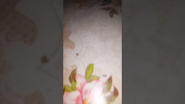 Мех мод своими руками)))) смотреть онлайн