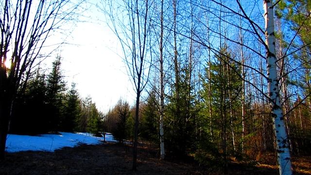 Сводка ПРИРОДЫ за 21.04.2022г. смотреть онлайн