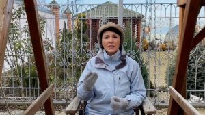 ЦИРКОН - посмотрите видео, чтобы не быть обманутым! Как ПРАВИЛЬНО применить стимулятор.