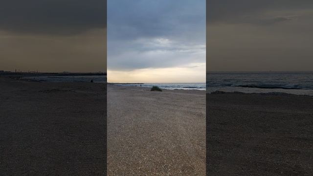 Xiaomi Mi 11 Lite 5G NE (2109119DG) vertical video test смотреть онлайн
