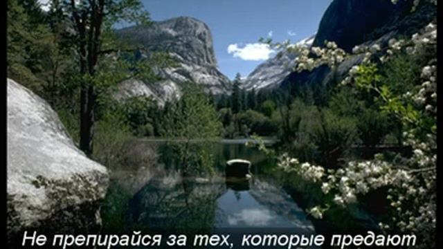 Салман аль Утайби (النساء 104-108)1.mp4 смотреть онлайн