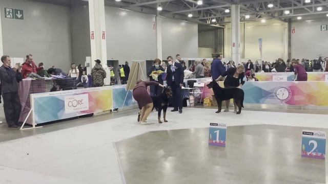 Евразия 02.05.2021 ринги босеронов смотреть онлайн