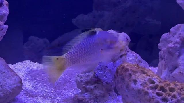 Шагаем к морю! Шаг 5