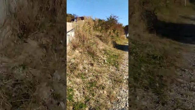 Вид на море, свежий воздух и быстрая доступность до центра города. смотреть онлайн