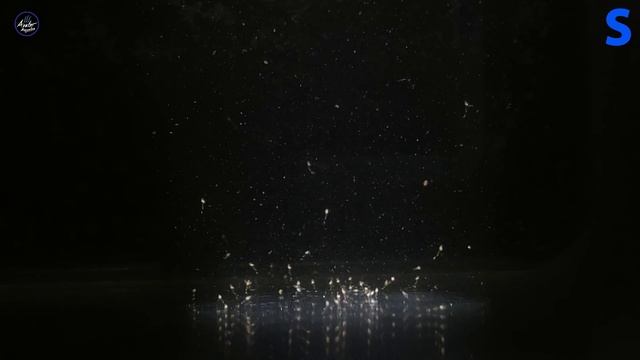 Avatar Aquatics Breeding Amano Shrimps, HOW TO + Microscope Pictures [Part 1] смотреть онлайн